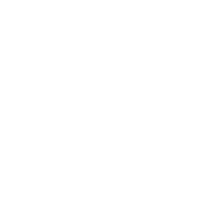 VIP SHUTTLE